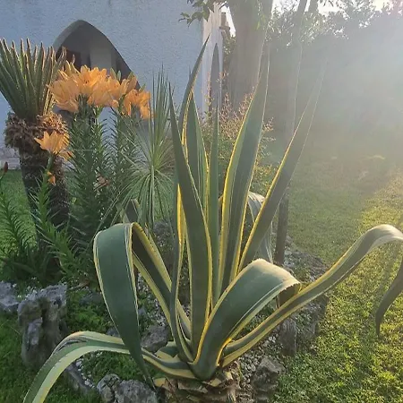 Spending Seaside In Cirella, Italy * Cirella