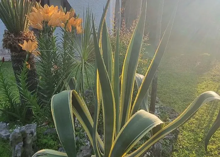 Spending Seaside In Cirella, Italy * Cirella